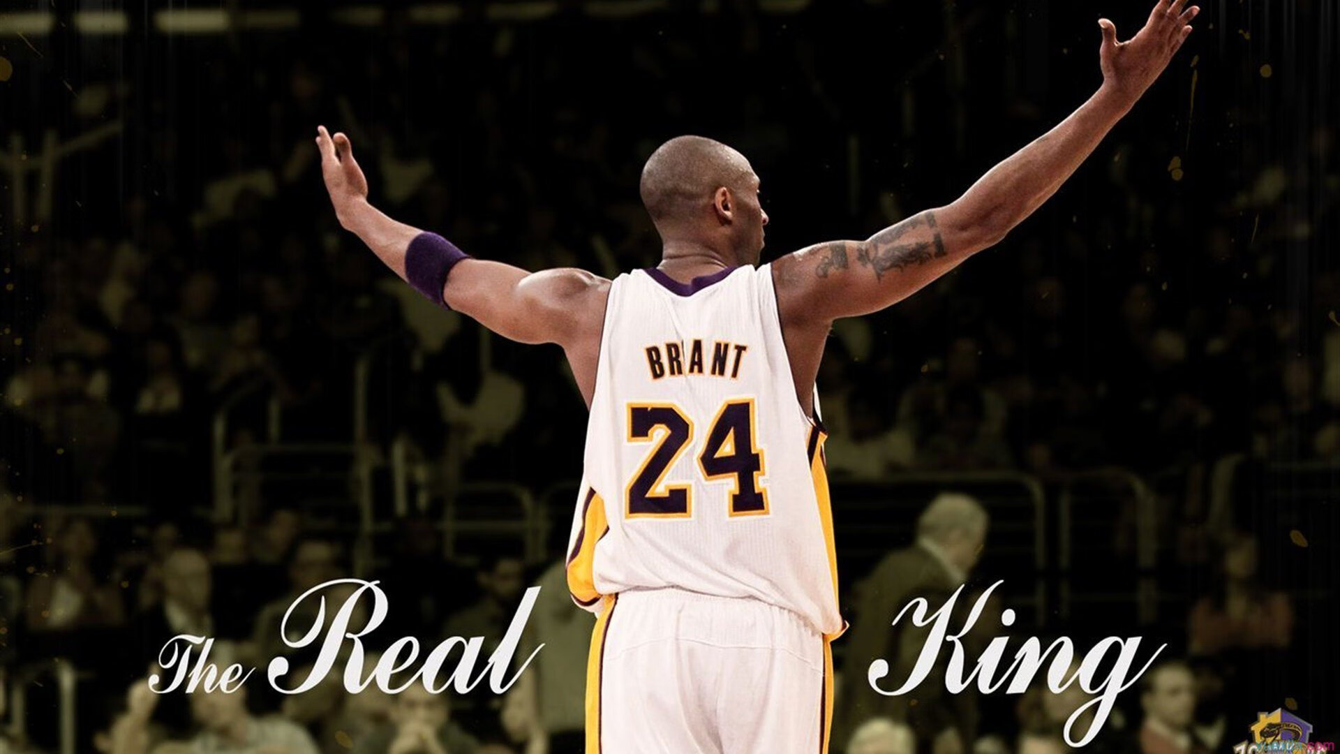 纳达尔，从ATP总决赛绝杀到戴维斯杯统治—一场定义时代的王者演出